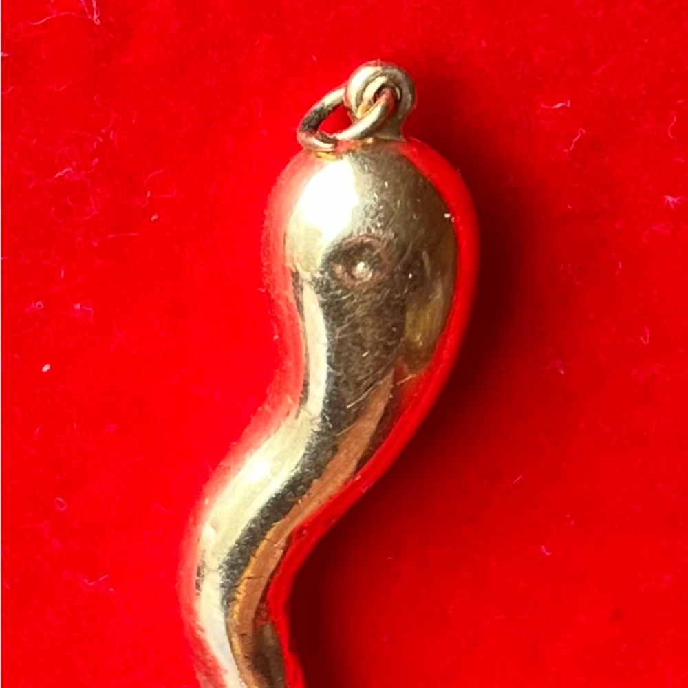 COPY - Gold Italian horn charm